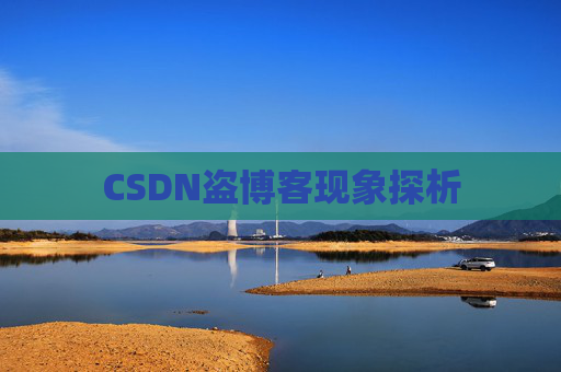 CSDN盗博客现象探析